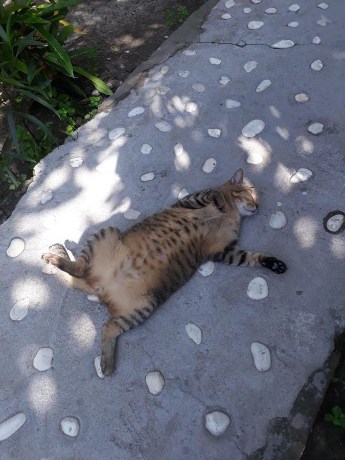 Sagita Bungalow Gili Trawangan Buitenkant foto